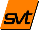 Logo svt Services Holding GmbH in Kitzingen